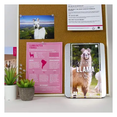 Gift Republic Adopt A Llama Gift Box