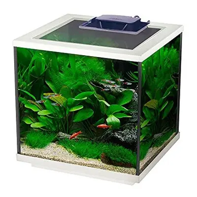 Interpet Aqua Cube Glass Fish Tank Aquarium with Integrated LED Lighting and Easy Care Filter, 2