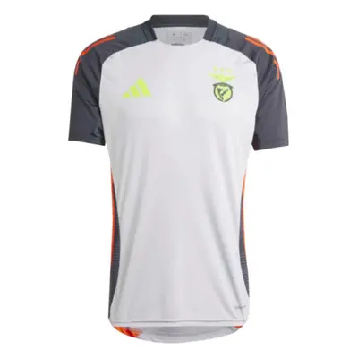 (XL) Benfica Training Jersey (Grey)