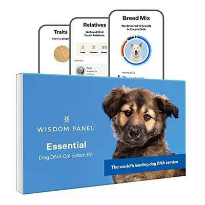 Wisdom Panel Essential: Most Accurate Dog DNA Test Kit for Breed ID and Ancestry | 25+ Genetic H