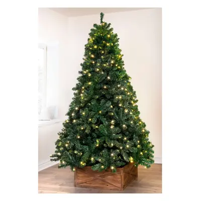 (6ft Pre-lit - branch tips, LEDs) Christmas Tree World | Unlit/Pre-lit Arbor Vitae Fir (4to 20ft