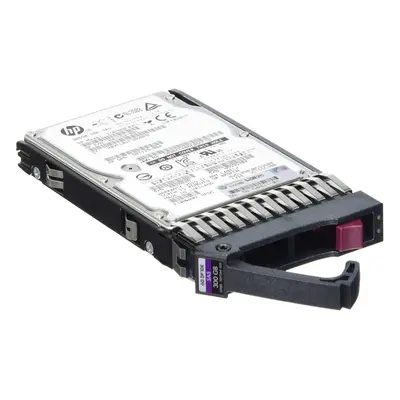 HEWLETT PACKARD 300GB 6G SAS 10K 2.5IN Dp HDD