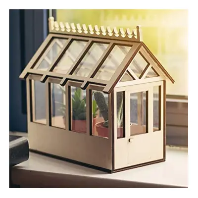 Miniature Indoor Greenhouse With Removeable Roof Windowsill Kitchen Ideal for Growing Herb Seeds