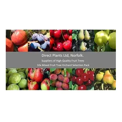 10x Mixed Large Fruit Tree Selection Pack Create Your Own Orchard 5-6ft Tall 2-3yr Trees Supplie