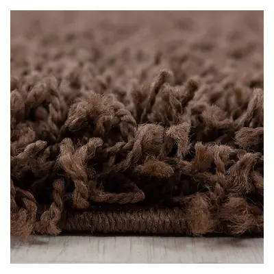 (Brown, 120cm x 170cm) Abaseen Living Room Rug High Pile Shaggy Deep Pile