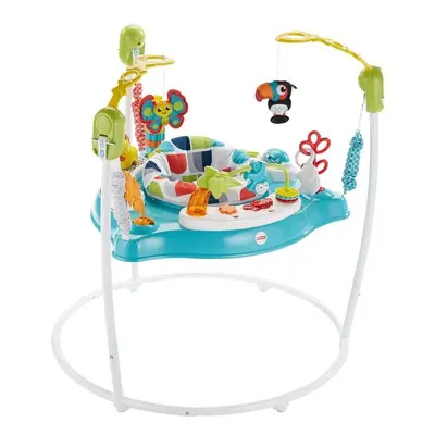 Fisher-Price Jumperoo Colour Climber