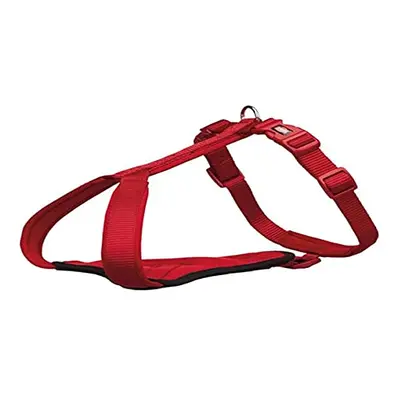 1998503 Premium Harness, cm/20 mm, Red