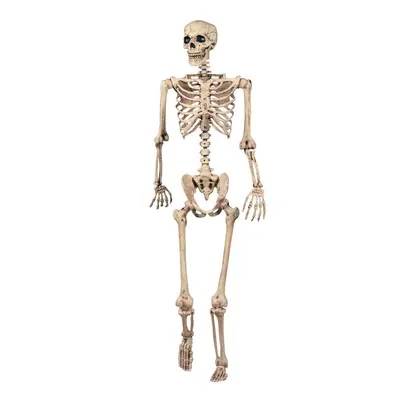 Giant Life Size Skeleton Poseable Halloween Decoration 165cm Bones