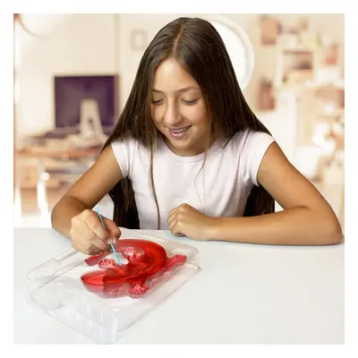 Dissect-It Simulated Synthetic Lab Dissection Toy, STEM Projects for Kids Ages 6+, Animal Scienc