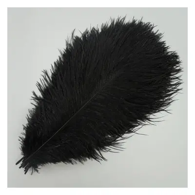 (black, 55-60cm 22-24inch) 10pcs /lot New Colored Ostrich Feathers For Crafts White Black Feathe