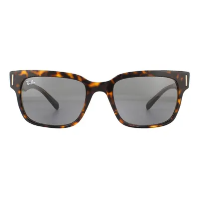 Ray-Ban Sunglasses Jeffrey RB2190 1292B1 Tortoise Dark Grey