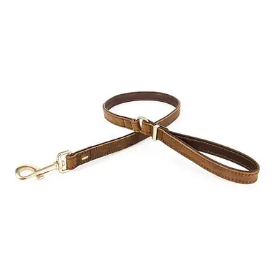 Oxford Leather Dog Lead | Small, Medium and Large Dogs, Full Grain Natural Leather, Adjustable, 