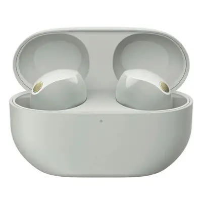 Sony WF-1000XM5 Wf Xm5, The Best Truly Wireless Noise Cancelling Earbuds - White