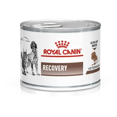 Royal Canin Veterinary Nutrition Canine/Feline Recovery Mousse 195gx12