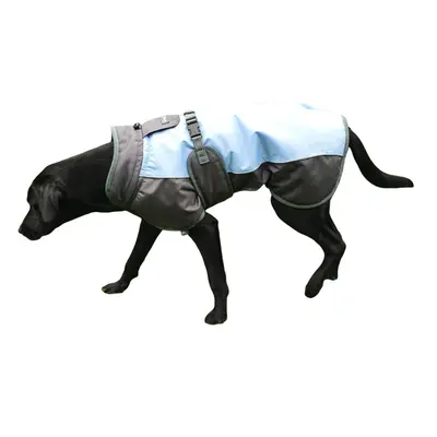 (Medium, Blue/Grey) Henry Wag Waterproof Dog Coat