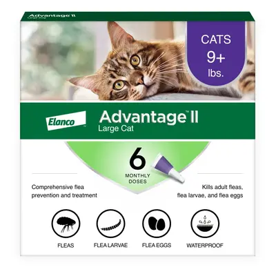 Advantage II Vet-Recommended Flea Prevention for Large Cats lbs+