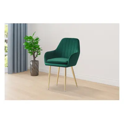 (Green) Luxury French velvet Design dining chair T05