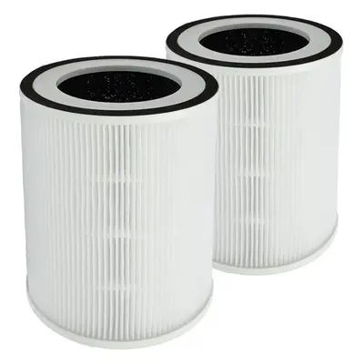 Replacement filter