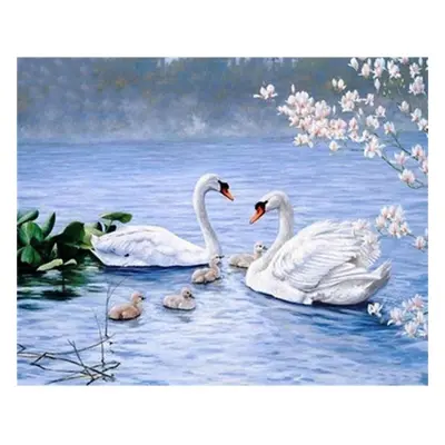 (Multicolor, 50X70CM) DIY 5D Diamond Painting Swan Animal Mosaic Full Round Diamond Embroidery L