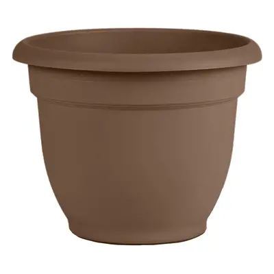 Bloem 20-56308CH Ariana Self Watering Planter Chocolate 8"" Browns