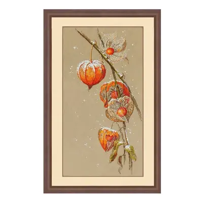 Beautiful Lovely Counted Cross Stitch Kit Lantern Flower Red Flower Physalis Alkekengi Autumn Gr