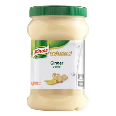 Knorr Professional Ginger Puree - 2x750g