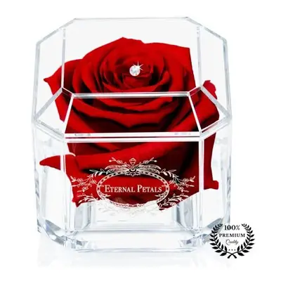 A Real Rose That Lasts Years Eternal Petals Handmade in UK White Gold Solo with A Multicolor Swa