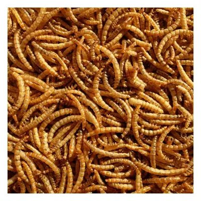 Premium Litre Dried Mealworms