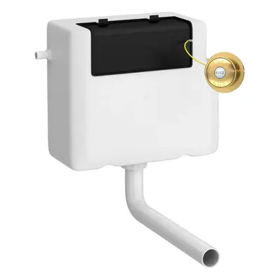 Universal Water Saving Dual Flush Side Inlet & Traditional Push Button - Brushed Brass/White