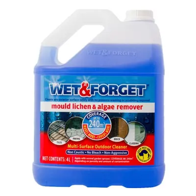 Wet and Forget Mould, Lichen and Algae Remover Outdoor Cleaner 4L