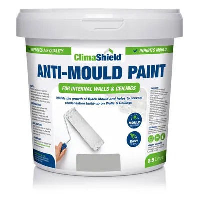 (2.5 Litres, Pale Slate) SmartSeal Anti-Mould Paint - For Bathroom, Kitchen, Bedroom Walls & Cei