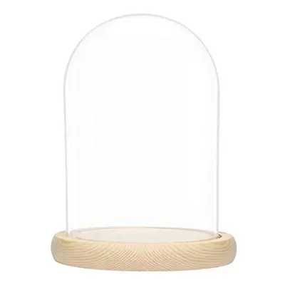 Large Glass Dome Cloche Bell Jar with Natural Wooden Base - 20cm/7.87 Inches - Clear Decorative 