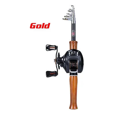 (gold, Left Hand) Sougayilang Fishing Rod Reel Combos With 1.6m Telescopic Fishing Pole And 13bb