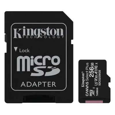 Kingston Canvas Select (256GB, SDCS2-256GB)