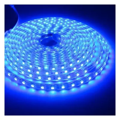 (blue, 20M) Waterproof Smd Ac220v Led Strip Flexible Light 60leds/m Led Tape Led Lights Lighting