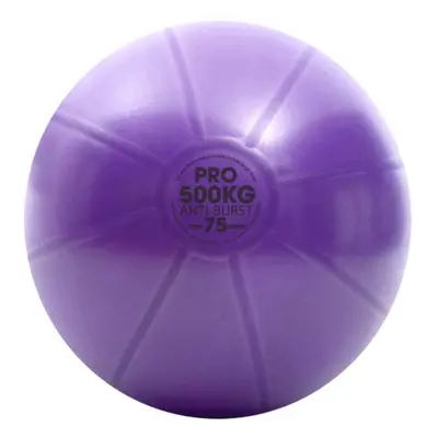 Fitness Mad Studio Pro Swiss Ball