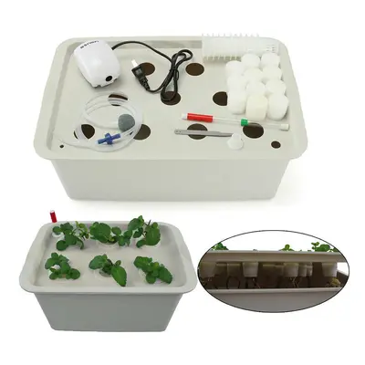 11 Holes US Plug 220-240V Plant Site Hydroponic System Indoor Garden Cabinet Box Grow Kit Bubbl