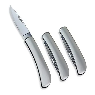 Fruit Knife, All Steel Foldable Fruit Knife Set, Exquisite and Beautiful, Small and Easy to Carr