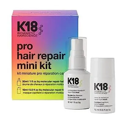 Pro Hair Repair Mini Kit