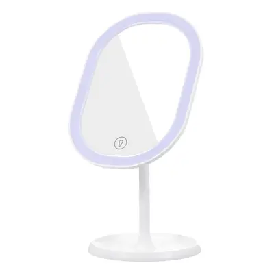 Professional Makeup Mirror with LED Light USB Charging 180Rotation Light Mode 10X Magnification 