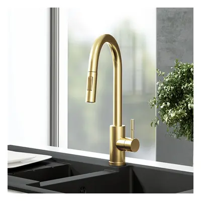 Nes Home Brushed Brass Modern Pull Out Kitchen Mixer Tap