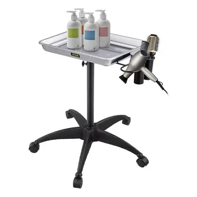 Vevor DGTWJDCBXGSYSI0PYV0 Mayo Stand Medical Tray, Silver