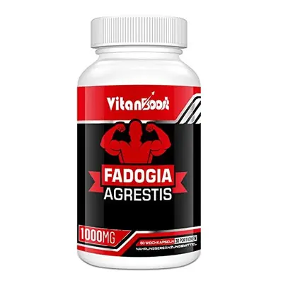 Vitanboost Fadogia Agrestis 1000mg with Ashwagandha & ZINC- Maximum Strength Fadogia Agrestis Ex