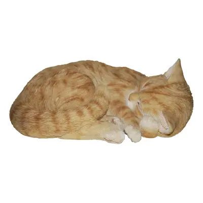 Vivid Arts Ginger Size B Real Life Sleeping Cat