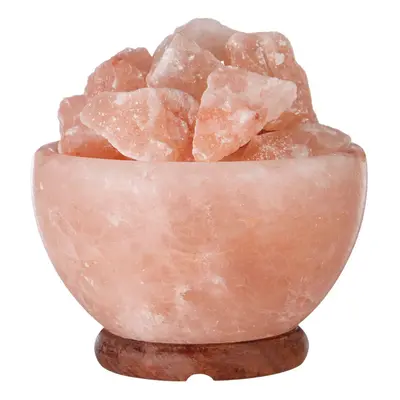 Premier Housewares Bowl Salt Lamp with EU Plug Himalayan Rock Salt Lamp Bedroom Lamp Wooden Base