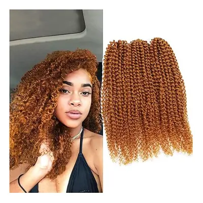 3pcs/pack Kinky Curl 12Inch Afro Kinky Twist Hair Crochet Braids Soft Synthetic Crochet Hair Ext