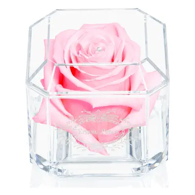 A 100% Real Rose That Lasts Years - Eternal Petals, Handmade in UK, Flowers Delivery Next Day Pr