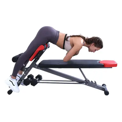 Multi-Functional Gym Bench for Full All-in-One Body Workout â Versatile Fitness Equipment for 