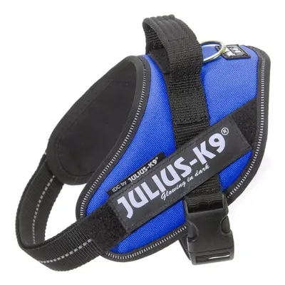 Julius-K9 16IDC-B-M IDC Powerharness, Dog Harness, Size Mini, Blue