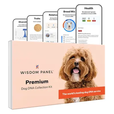 Wisdom Panel Premium Dog DNA Test for 260+ Health Tests Accurate Breed ID and Ancestry | Traits